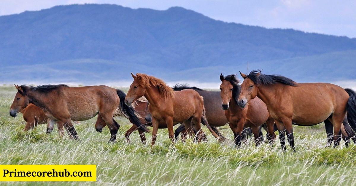 350+ Red Horse Names: Unique, Bold & Perfect Equine Companion