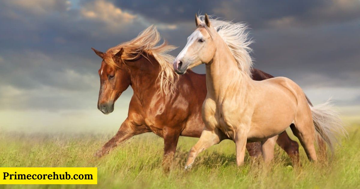 500+ Unique and Creative Brown Horse Names You’ll Love