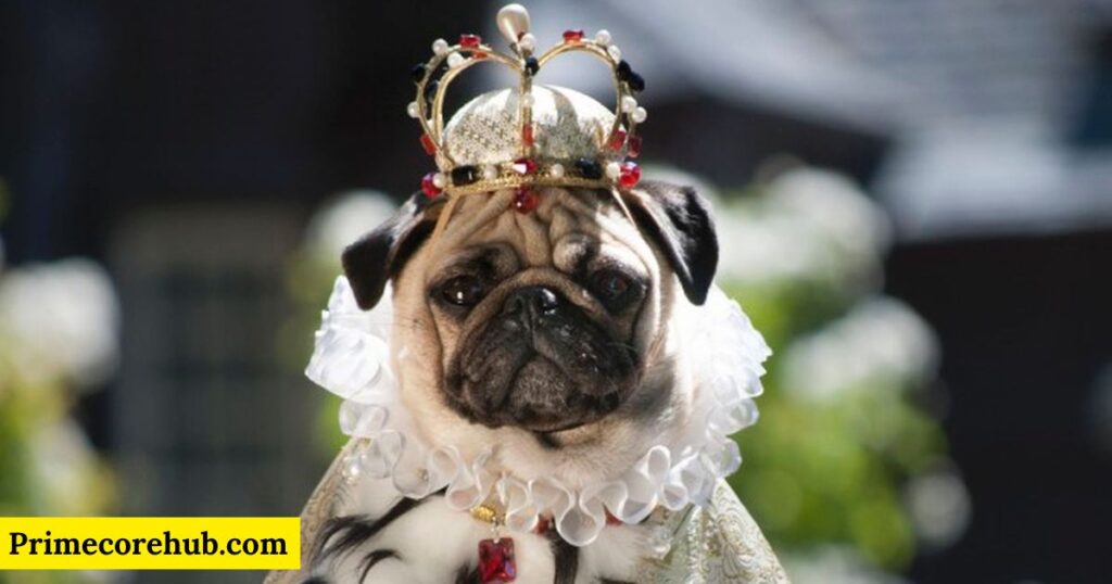 Funny Royal Dog Names