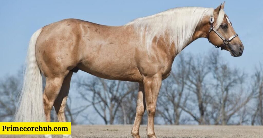 Male Brown Horse Names